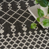 Nourison Positano POS02 Black Area Rugs