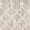 Nourison Positano POS02 Light Grey Area Rugs
