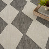 Nourison Positano POS04 Charcoal Area Rugs