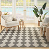 Nourison Positano POS04 Charcoal Area Rugs