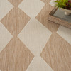 Nourison Positano POS04 Jute Area Rugs