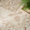 Nourison Pardis PRD02 Ivory Taupe Area Rugs