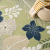 Nourison Suncoast SNC01 Green Blue Area Rugs