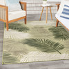 Nourison Suncoast SNC03 Green Area Rugs