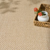 Nourison Tulum TLM03 Taupe Area Rugs