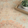 Nourison Vintage Washables VWS16 Sage Multicolor Area Rugs