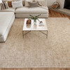 Nourison Washable Charm WCH02 Beige Ivory Area Rugs