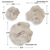 Uttermost Teo Bleached Wood Wall Decor Set/3