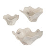 Uttermost Teo Bleached Wood Wall Decor Set/3