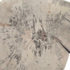 Uttermost Teo Bleached Wood Wall Decor Set/3