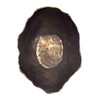 Uttermost Obscura Bronze Outdoor Bowl