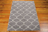 Nourison Windsor WIN01 Silver Area Rugs