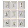 Uttermost Botanical Flowers Framed Prints Set/9