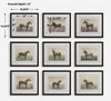Uttermost Equine Dynasty Framed Prints Set/9