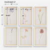Uttermost Wild Flourish Framed Floral Prints Set/6
