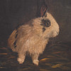 Uttermost Resting Bunny Framed Prints Set/9