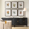 Uttermost Orchid Botanical Framed Prints Set/6