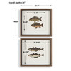 Uttermost The Catch Framed Fish Prints Set/2