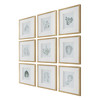 Uttermost Nature's Script Framed Botanical Prints Set/9