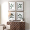 Uttermost Fiddle Head Leaf Botanical Prints Set/4