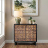 Uttermost Muestra Wood Grain 2 Door Cabinet
