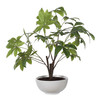 Uttermost Pachira Money Tree