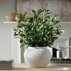 Uttermost Elena Olive Centerpiece