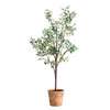 Uttermost Olea Potted Olive Tree