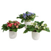 Uttermost Trilogy Primrose Accents In Vases Set/3