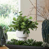 Uttermost Essence Eucalyptus Accent & Vase