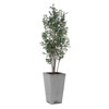 Uttermost Sonora Olive Tree In Planter
