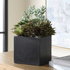 Uttermost Greystone Indoor-Outdoor Succulent
