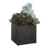 Uttermost Greystone Indoor-Outdoor Succulent