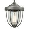 ELK Lighting Sturgis 1-Light Mini Pendant - 33100/1