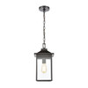ELK Lighting Lamplighter 1-Light Hanging - 46703/1