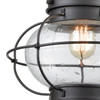 ELK Lighting Onion 1-Light Hanging - 57183/1