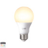 ELK Home Wooden Brace 1-Light Floor Lamp - D2817-HUE-D