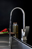 ANZZI Opus Series Single-handle Standard Kitchen Faucet In Brushed Nickel - KF-AZ035BN