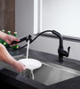 ANZZI Del Moro Single-handle Pull-out Sprayer Kitchen Faucet In Oil Rubbed Bronze - KF-AZ203ORB