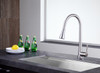 ANZZI Tulip Single-handle Pull-out Sprayer Kitchen Faucet In Brushed Nickel - KF-AZ216BN