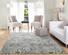 Dynamic Quartz Machine-made 25010 Light Grey Area Rugs