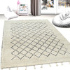 Dynamic Celestial Handmade 6953 Ivory/black Area Rugs