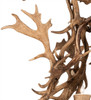 Meyda 52" Wide Antlers Fallow Deer 12 Light Two Tier Chandelier - 212274