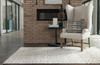 Loloi Discover Dc-03 Ivory / Lt. Grey Power Loomed Area Rugs