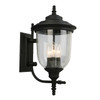 Eglo 3x60w Outdoor Wall Light W/ Matte Black Finish And Clear Seeded Glass - 202802A