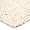 Jaipur Living Tyne NAT39 Solid Ivory Handwoven Area Rugs