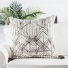 Jaipur Living Nyx OMN14 Trellis White Pillows