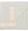 Jaipur Living Cannon Light Blue/ Cream Chevron Throw