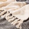 Jaipur Living Blakely Dark Blue/ Cream Chevron Throw