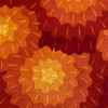 Momeni New Wave NW-69 Orange Hand Tufted Area Rugs